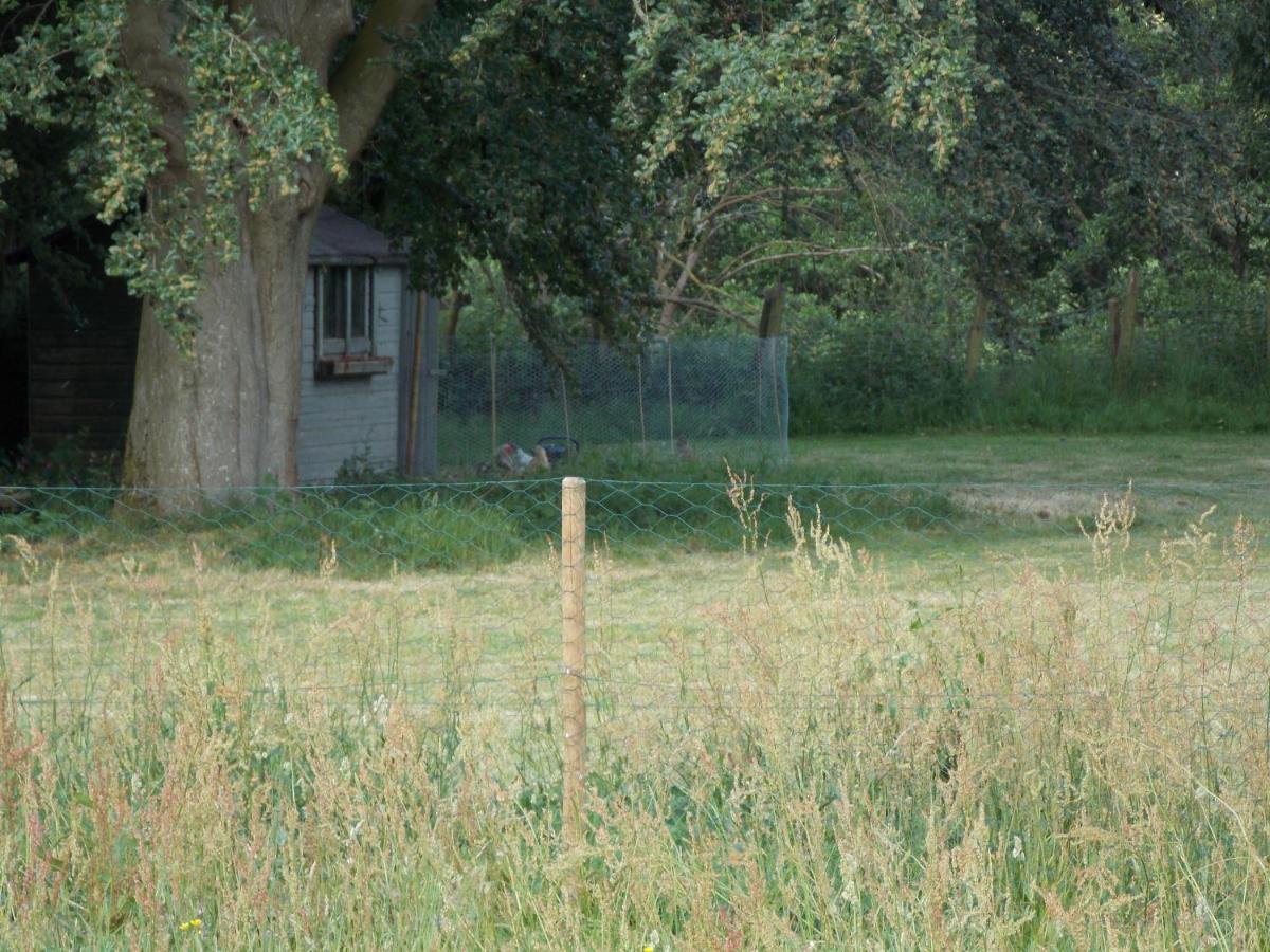 Hope Cottage Bell Tent Retreat Ашборн Экстерьер фото