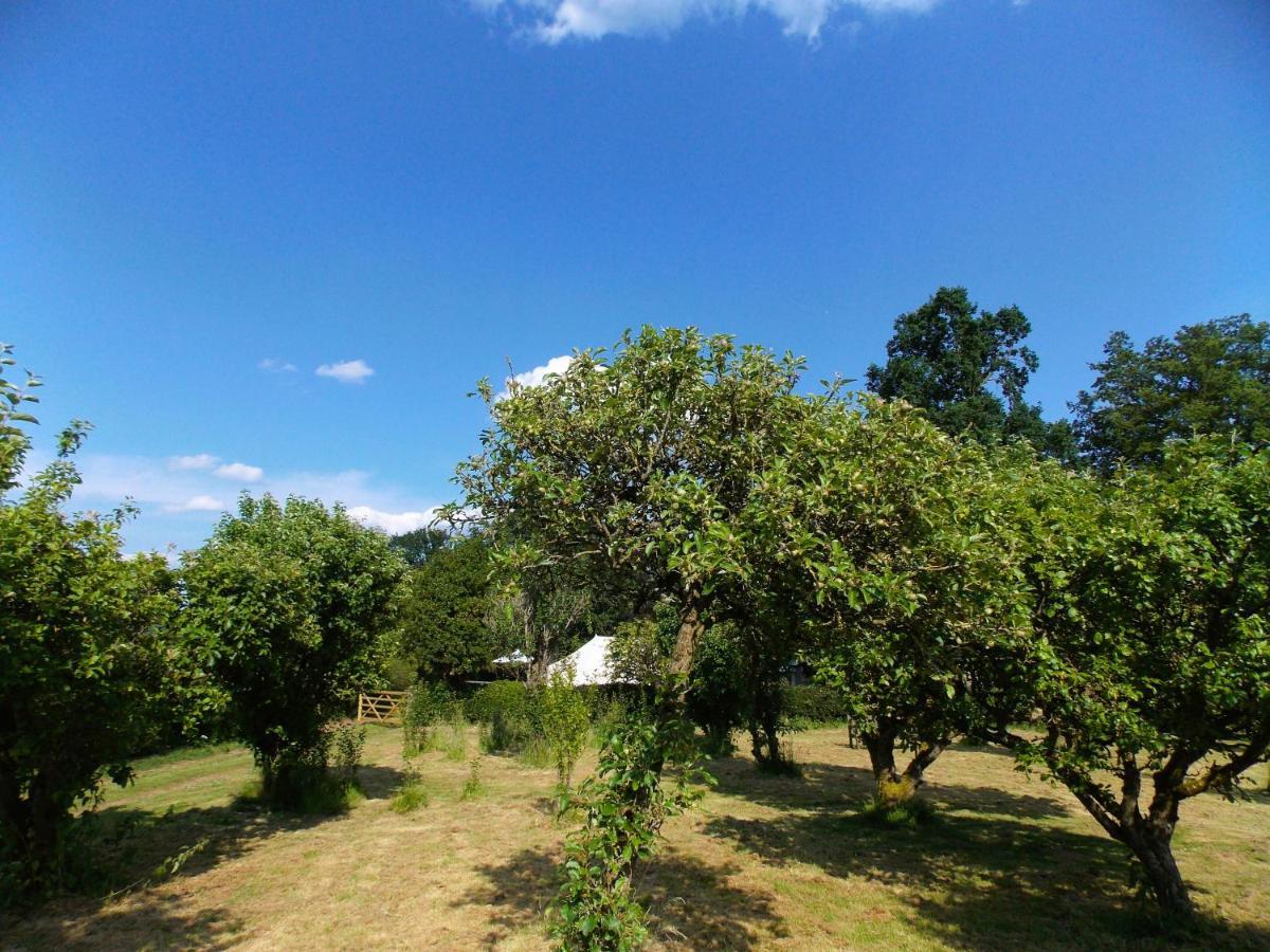 Hope Cottage Bell Tent Retreat Ашборн Экстерьер фото